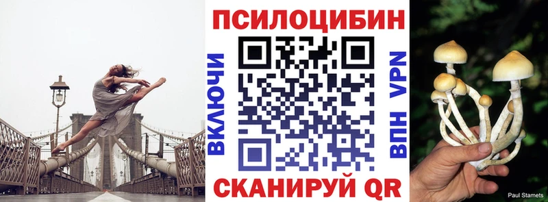 Псилоцибиновые грибы Psilocybine cubensis  закладки  Алзамай 